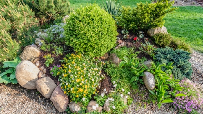 DIY Landscaping for Less photo