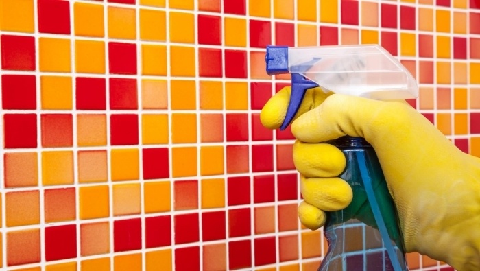 Don Aslett Showers And Stuff with Grout Brush & Sponges