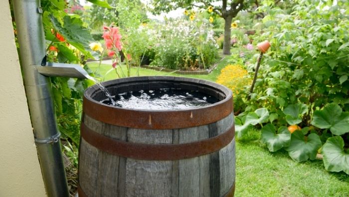 Reduce Your Water Bill With Rain Barrels - The Dollar Stretcher