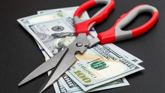 Ways Scissors Can Save You Money photo
