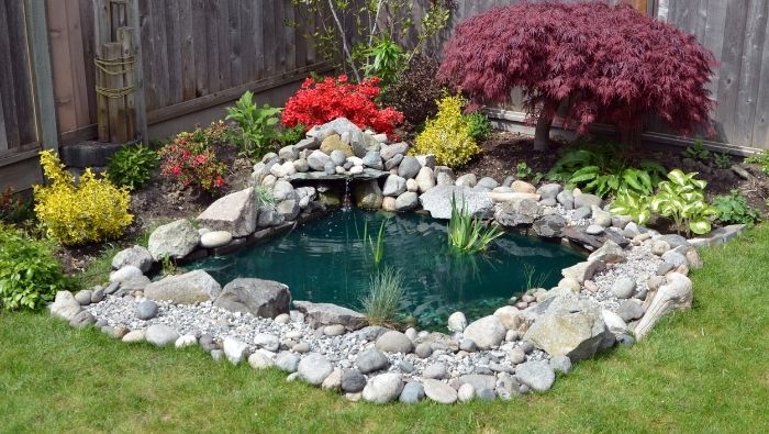 Affordable DIY Backyard Pond Ideas photo