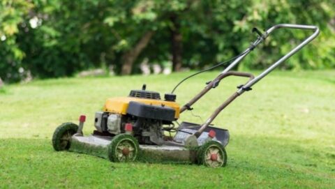 Lawn Mower Maintenance for Fuel Savings