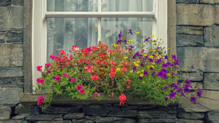 Spruce Up Your Home's Exterior on the Cheap photo