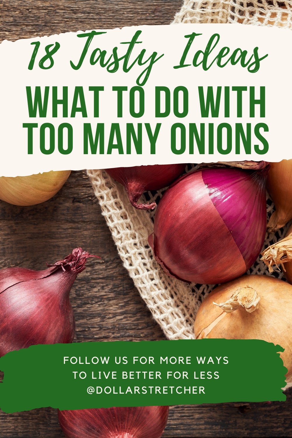 What To Do With Too Many Onions PIN