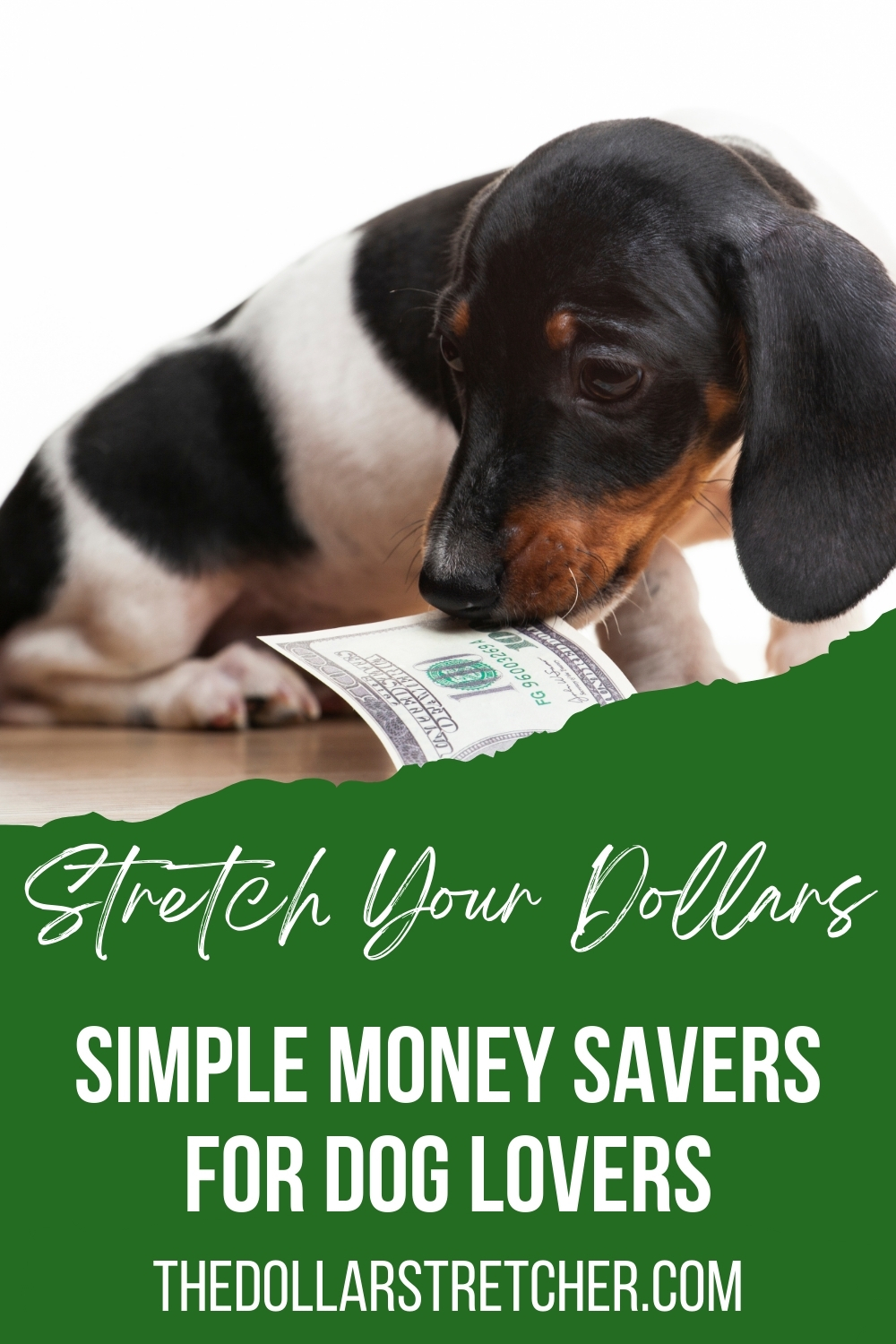 Simple Money-Savers for Dog Lovers PIN