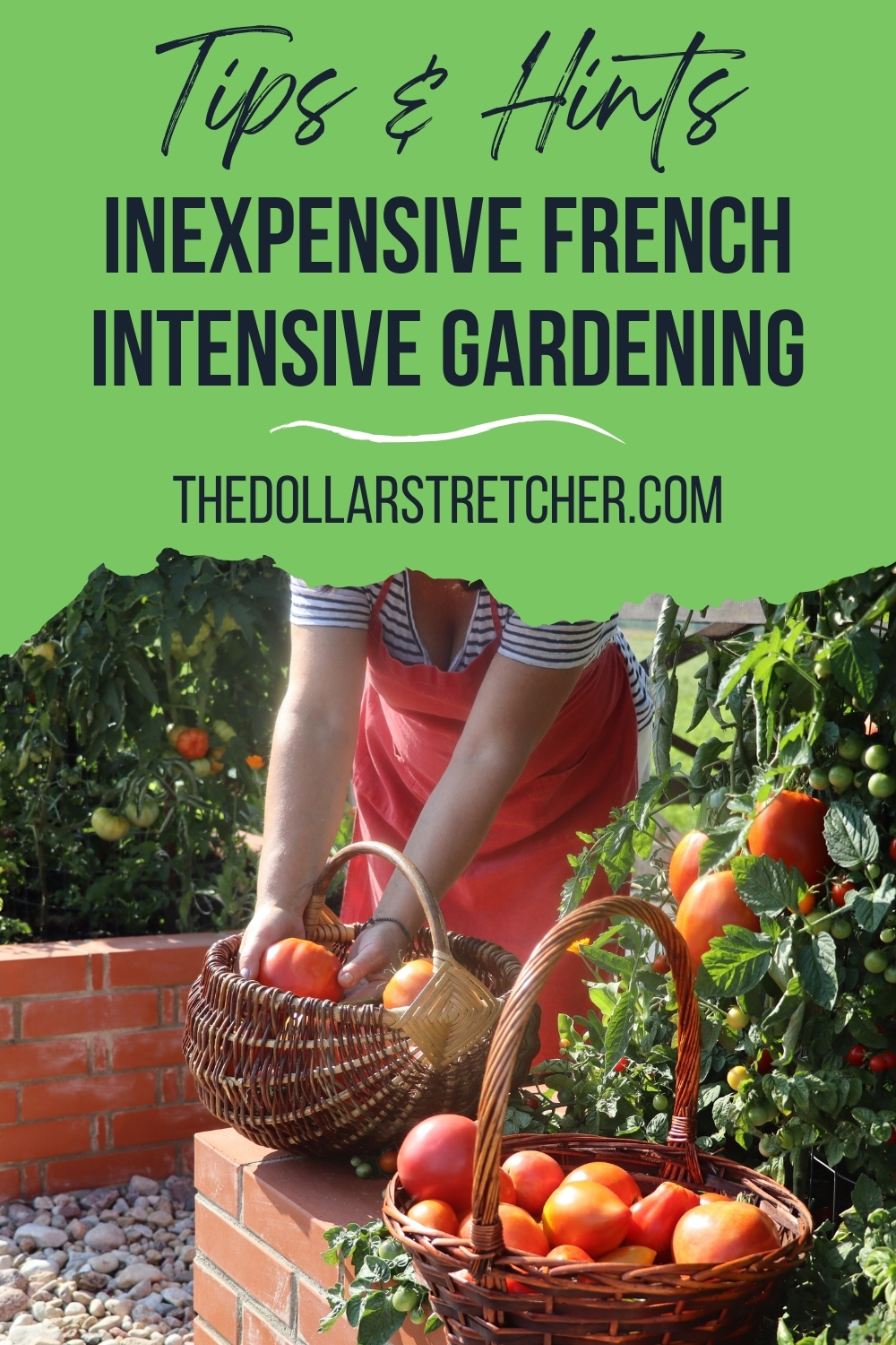 Inexpensive French Intensive Gardening PIN