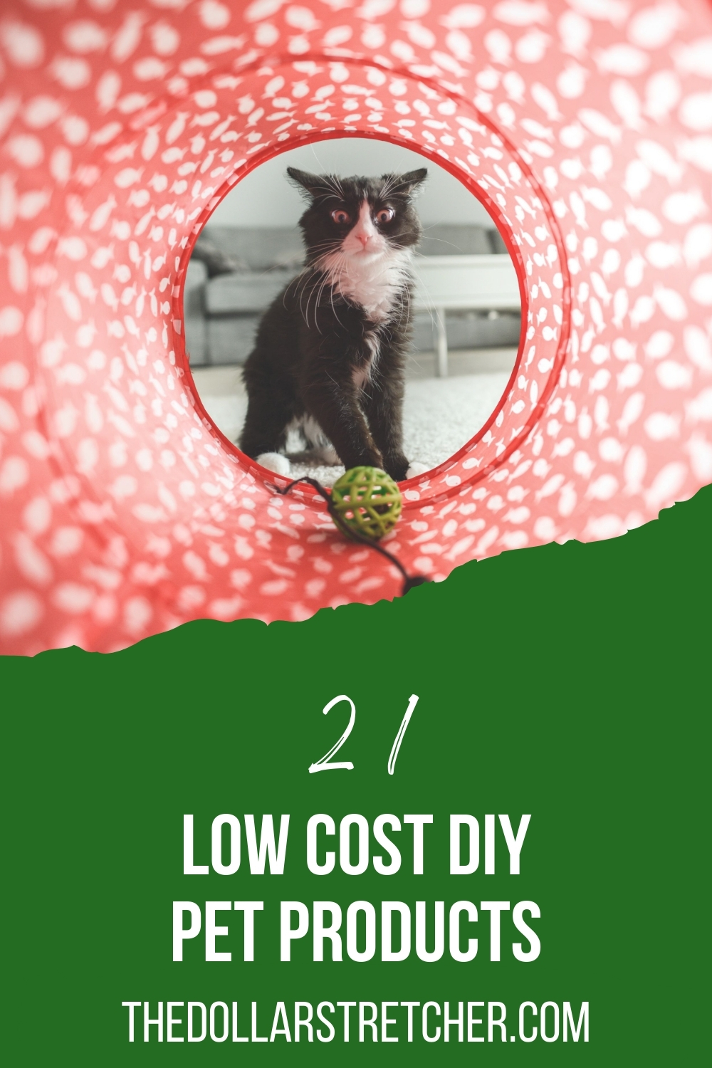 Low Cost DIY Pet Products PIN