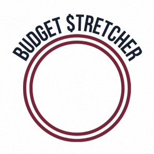 Budget stretcher icon
