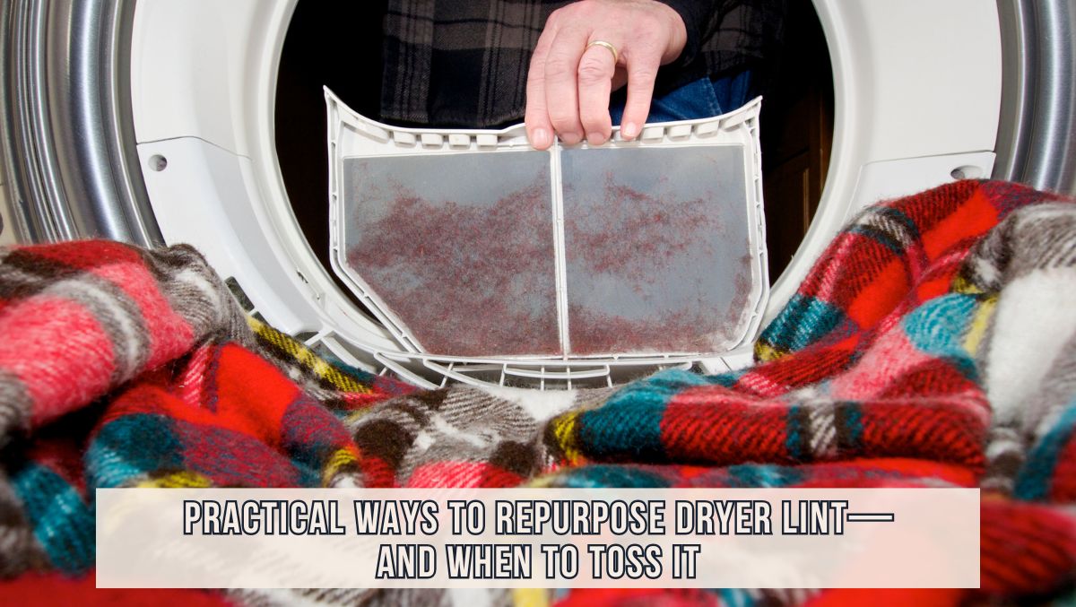 Repurpose Dryer Lint