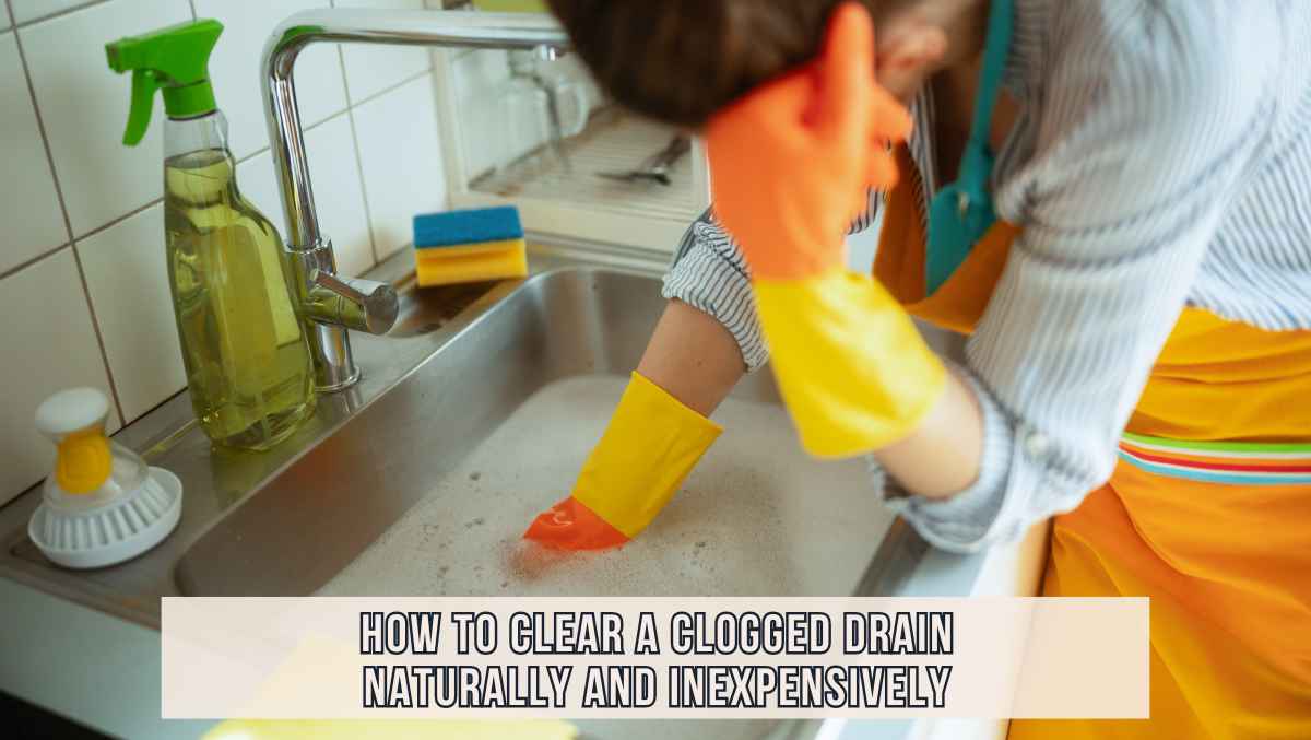 Clear a Clogged Drain Inexpensively