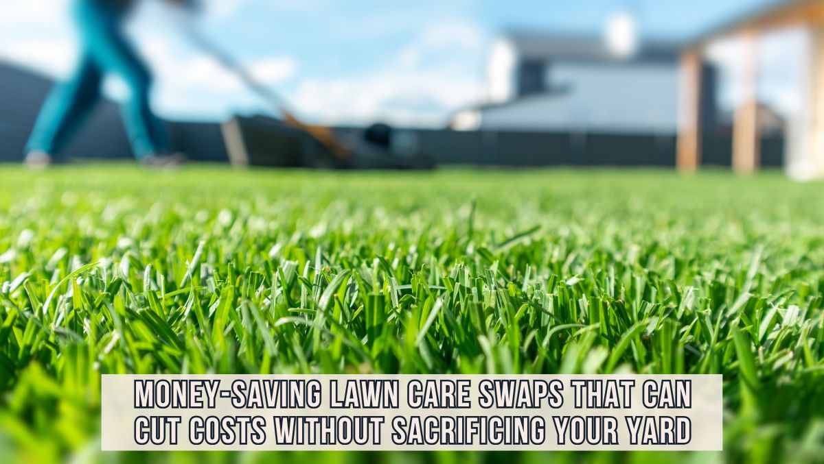 Lawn Care Swaps To Cut Costs