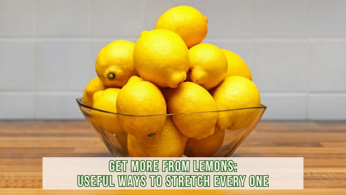 Ways To Stretch Lemons