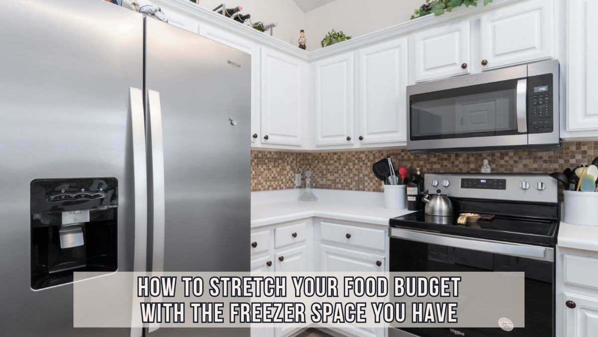 Stretch Your Food Budget with the Freezer Space You Have